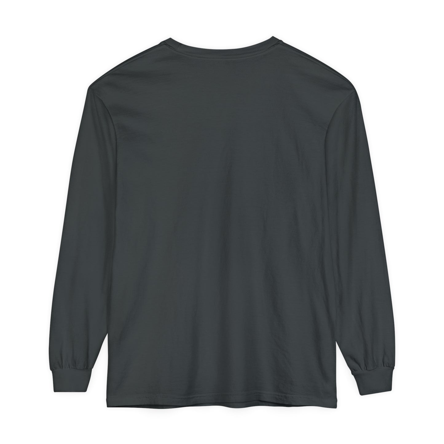 Jesus 2024 Long Sleeve T-Shirt