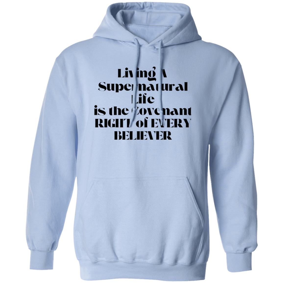 Living A Supernatural Life T-shirt / Hoodie