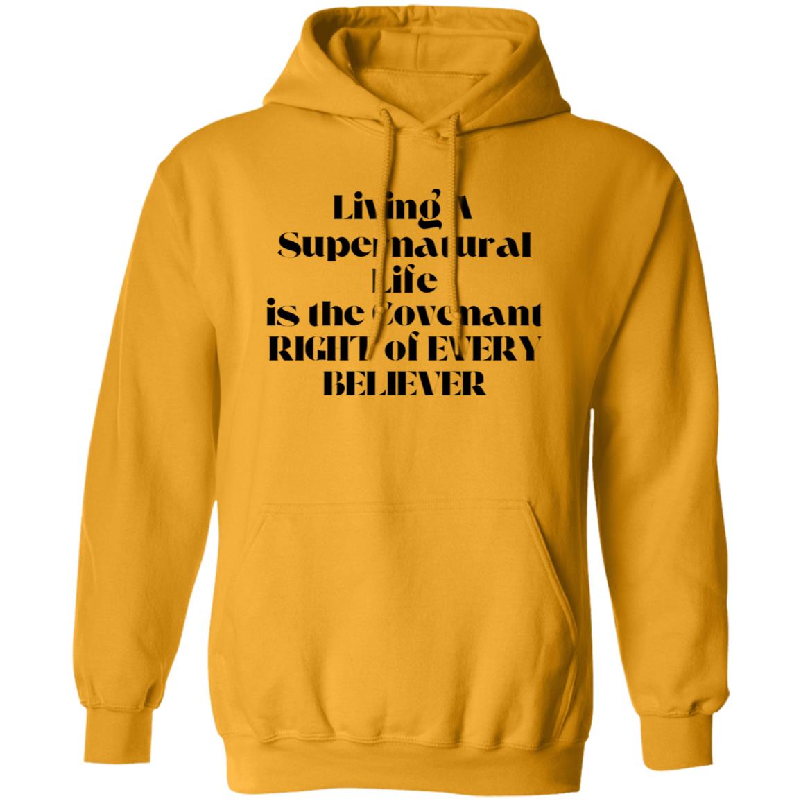 Living A Supernatural Life T-shirt / Hoodie