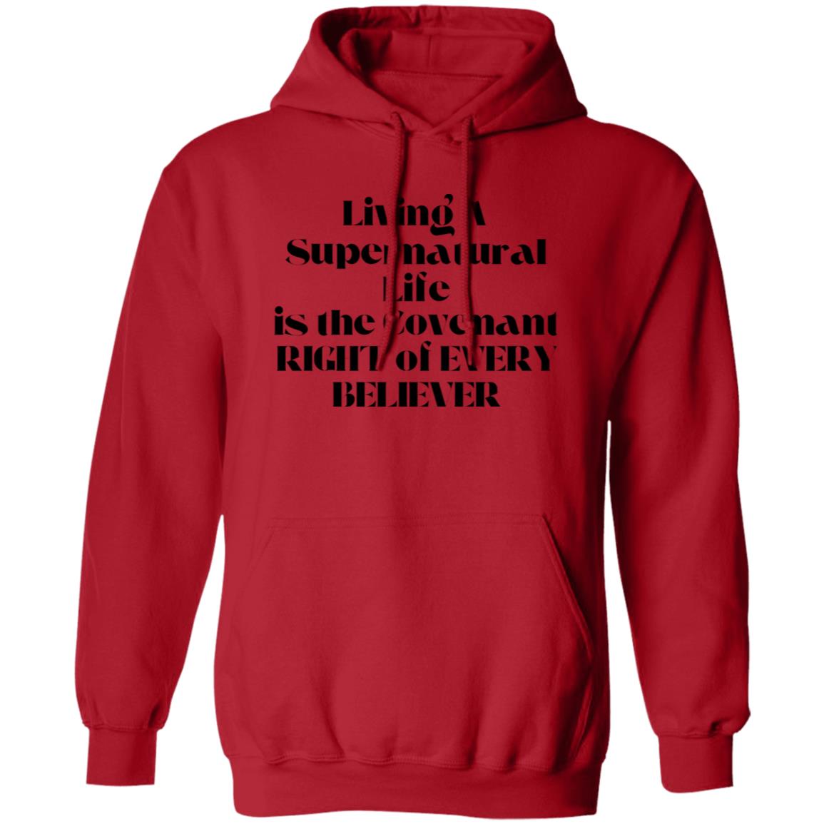 Living A Supernatural Life T-shirt / Hoodie