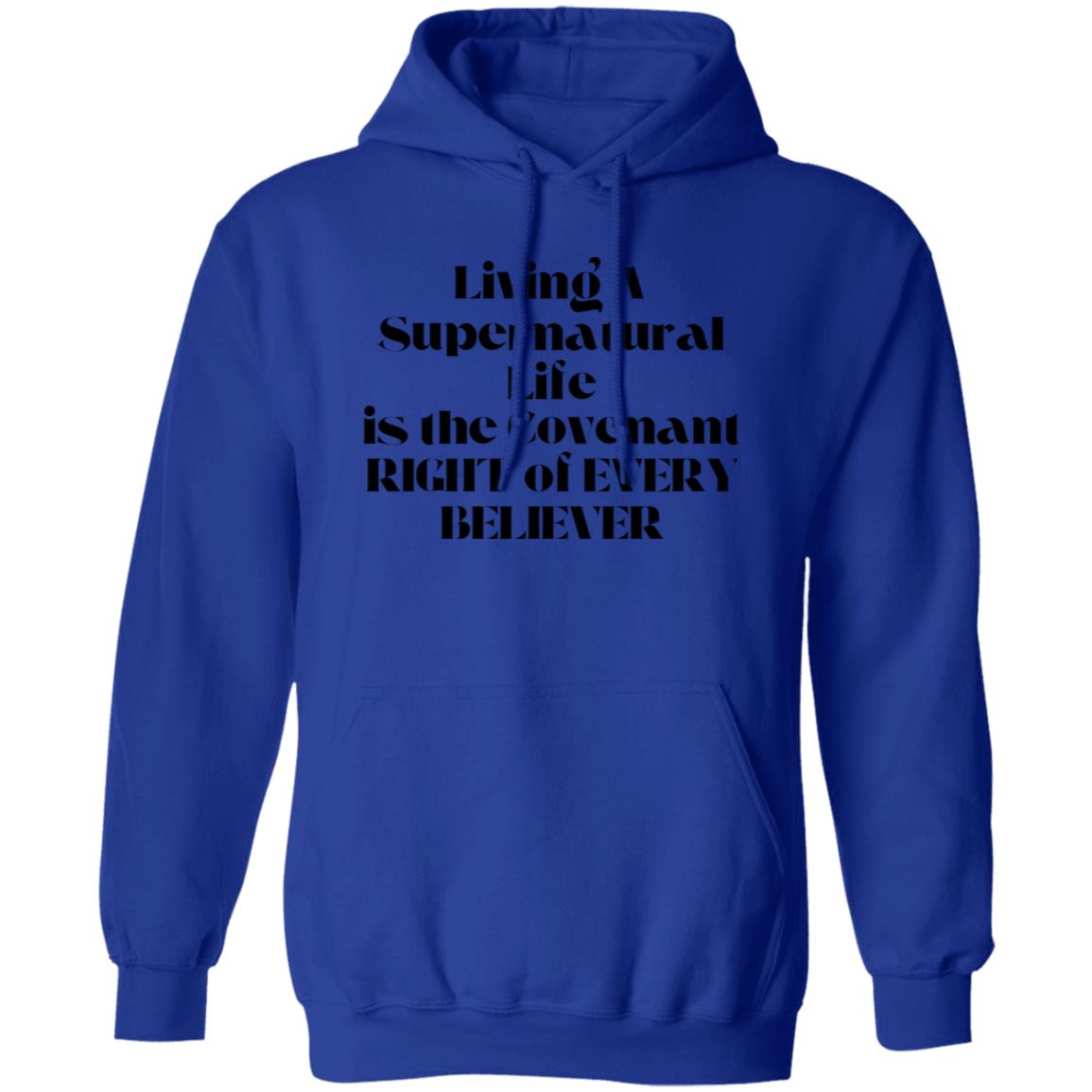 Living A Supernatural Life T-shirt / Hoodie